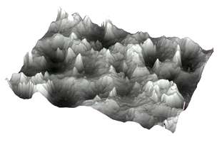 Surface of a metallic sample at the micrometric scale