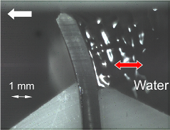 Experiment showing ripples in water induced by rubber-glass instability
